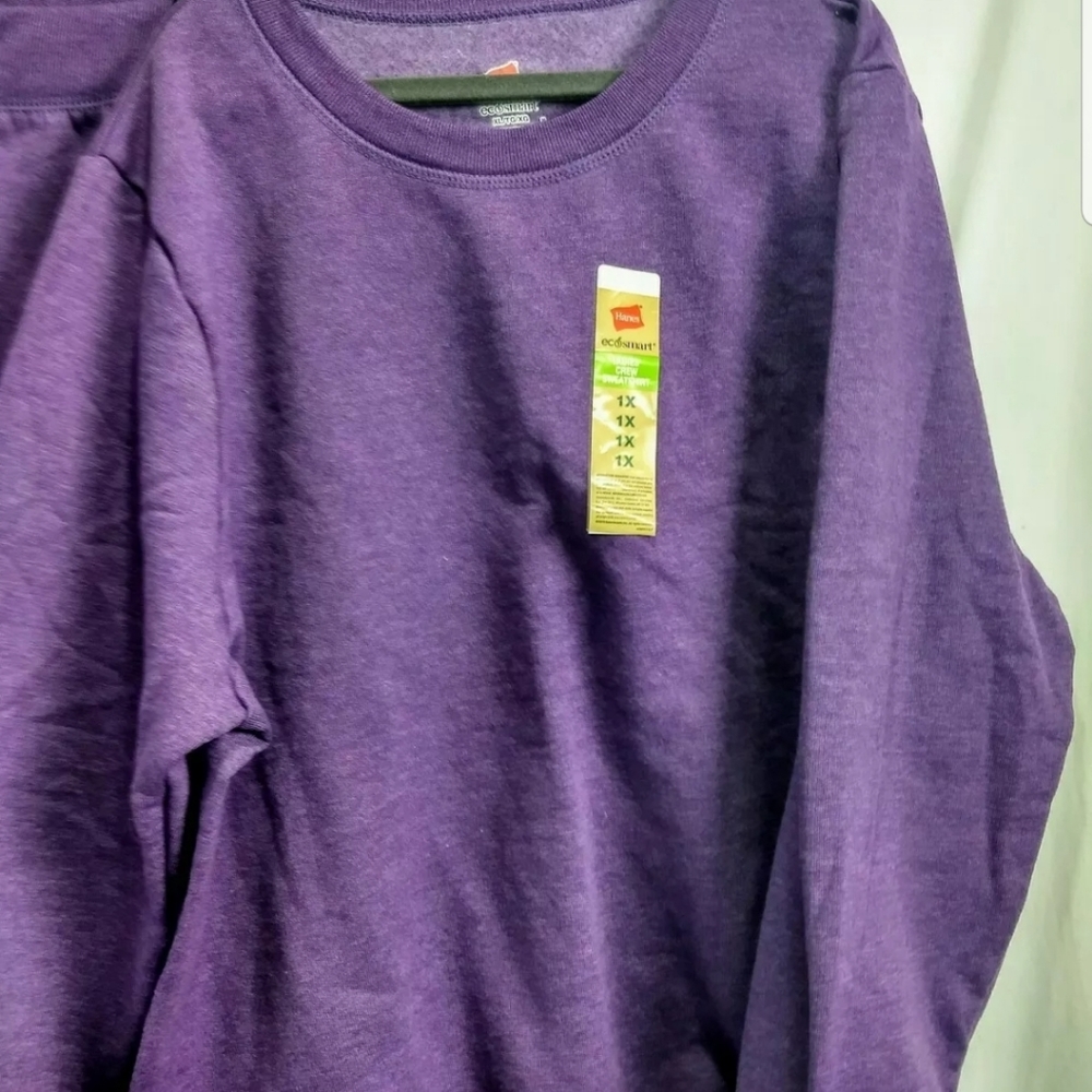 Hanes ecosmart Crewneck sweatshirt and sweatpants